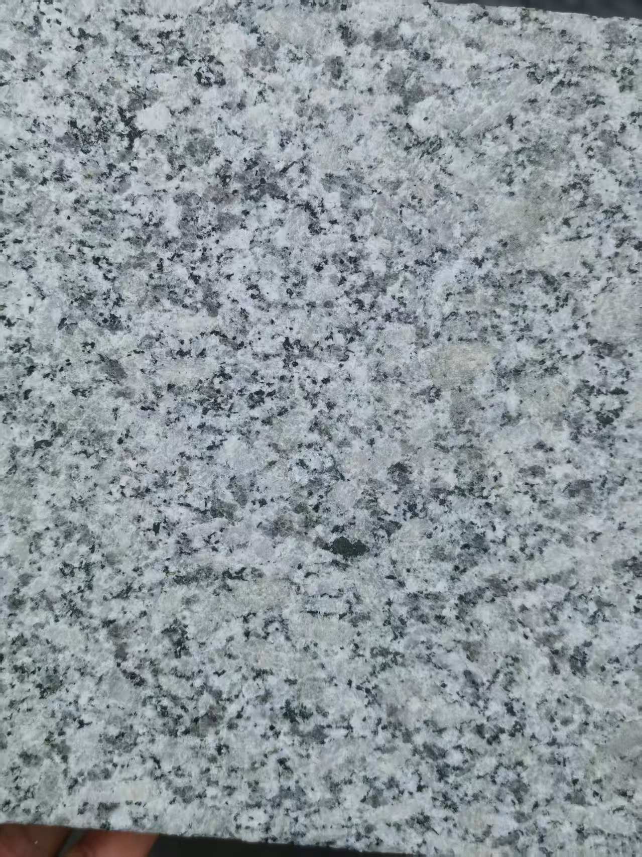 西安 芙蓉白火烧面