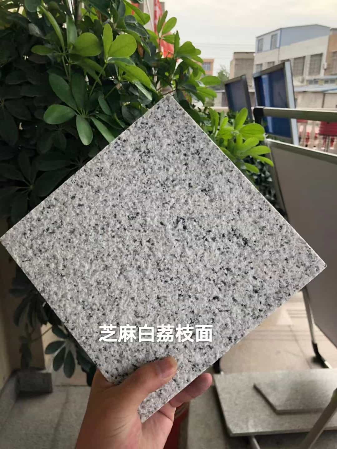 西安 芝麻白荔枝面干挂